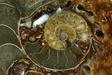 Wide Polished Fossil Ammonite Dish - Inlaid Ammonite #137410-1